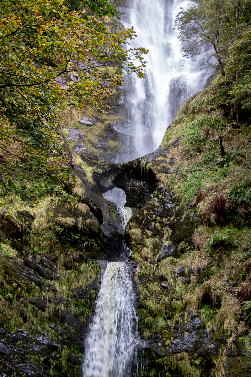 1st Place - Francoise White - Carving a way Through